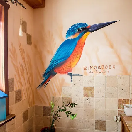 Ptasi Dom — Saunowisko W Kepie Holiday home 4*