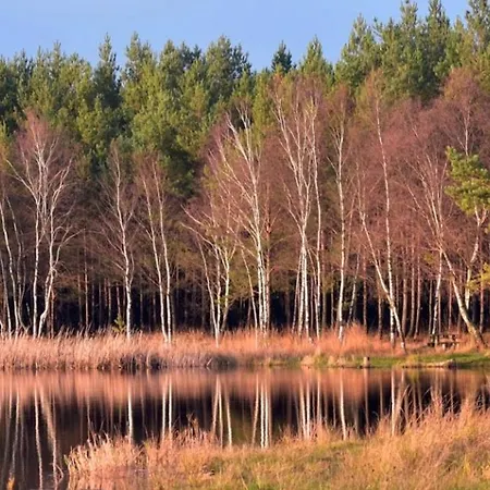 Ptasi Dom — Saunowisko W Kepie Holiday home 4*