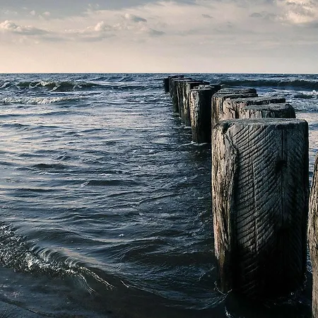 Ptasi Dom — Saunowisko W Kepie Holiday home 4*