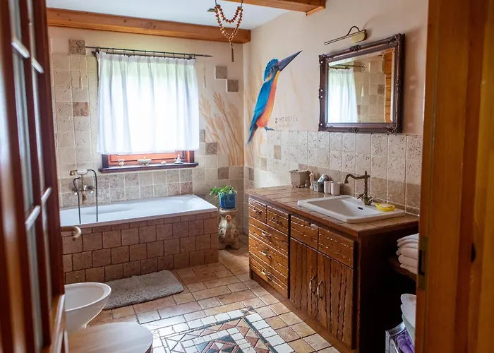 Ptasi Dom — Saunowisko W Kepie * Świeszyno