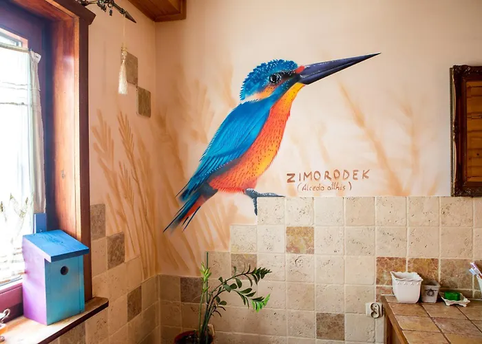 Ptasi Dom — Saunowisko W Kepie Villa *