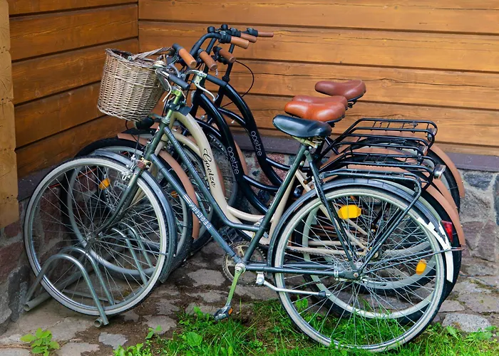 Ptasi Dom — Saunowisko W Kepie Świeszyno