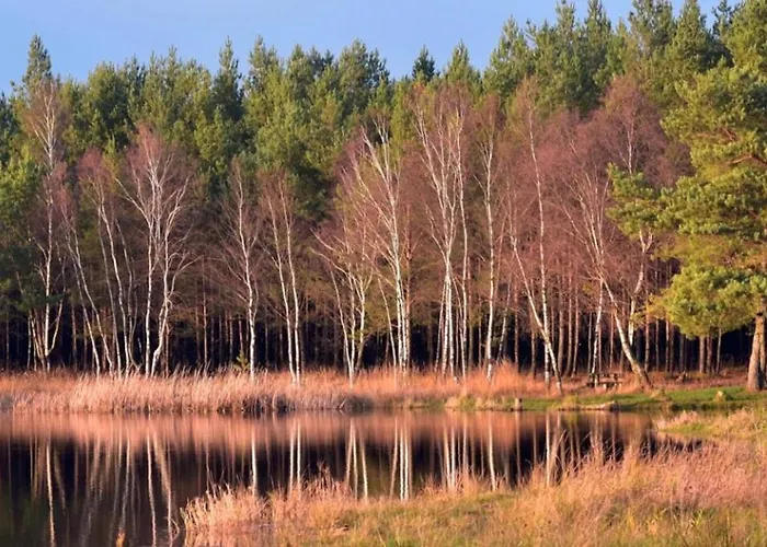 Ptasi Dom — Saunowisko W Kepie Villa *