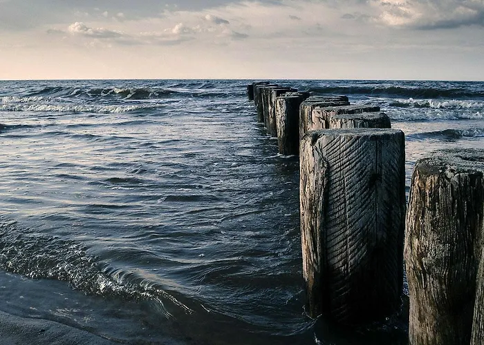 Ptasi Dom — Saunowisko W Kepie Villa *